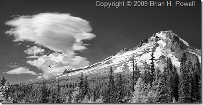 Mount_Hood