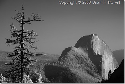 half_dome_from_olmstead_point