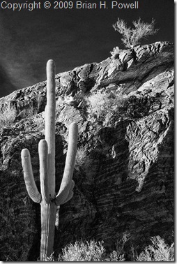 saguaro_national_park_javelina_rocks