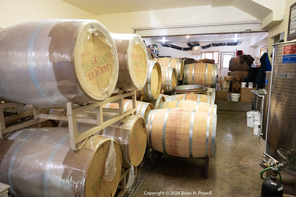 New French wine barrels at Natalie's Estate Winery