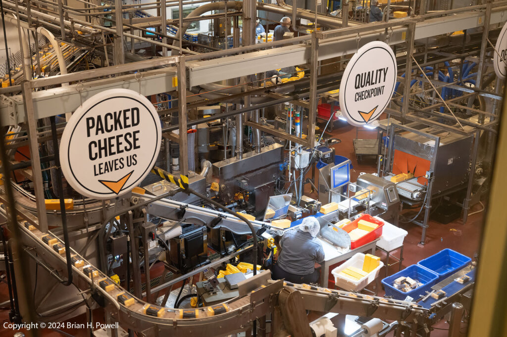 Tillamook Creamery Cheese Production